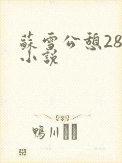 苏雪公憩28篇小说