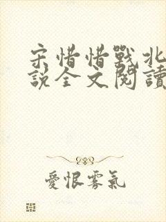 宋惜惜战北望小说全文阅读