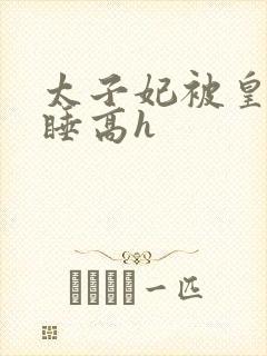 太子妃被皇上强睡高h