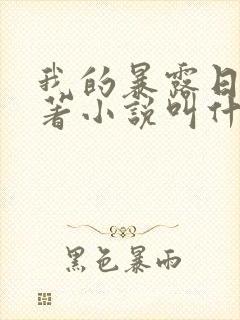 我的暴露日记原著小说叫什么