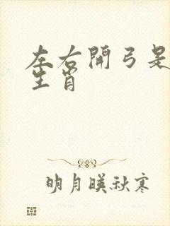 左右开弓是什么生肖