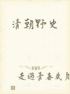 清朝野史