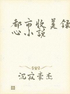 都市收美录宁素心小说