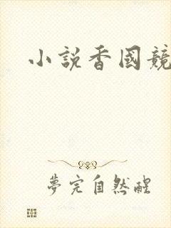 小说香国竞艳