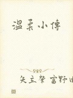 温柔小传