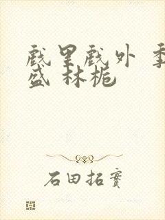 戏里戏外 季淮盛 林栀