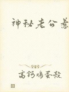 神秘老公惹不起