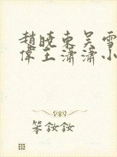 赵晓东吴雪晴郑伟王潇潇小说