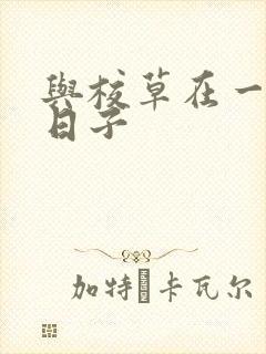 与校草在一起的日子