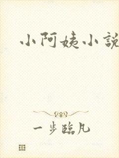 小阿姨小说