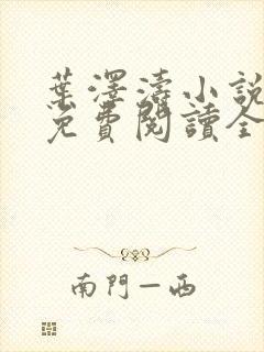 叶泽涛小说全文免费阅读全文