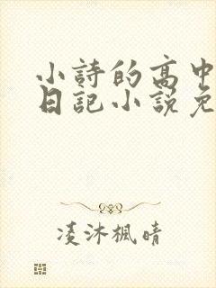 小诗的高中成长日记小说免费阅读