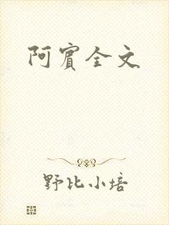 阿宾全文