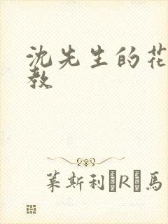 沈先生的花式管教