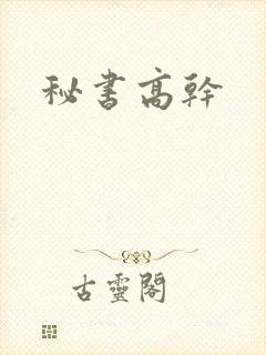 秘书高干