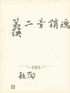 第二章销魂的交换