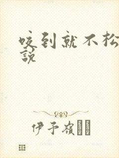 咬到就不松口小说