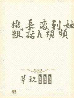 机长脔到她哭h粗话h视频