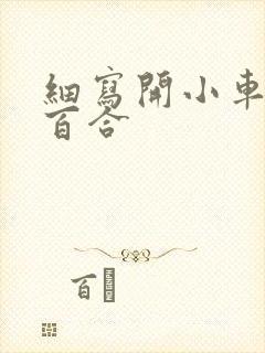 细写开小车车的百合