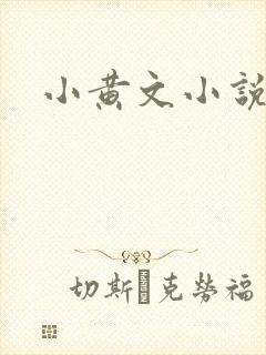 小黄文小说