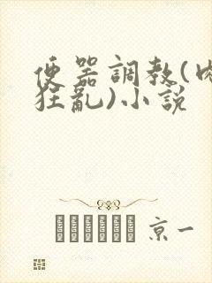 便器调教(肉体狂乱)小说