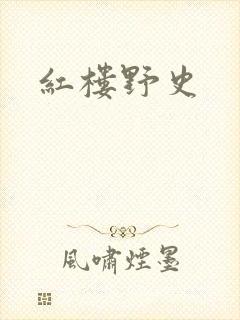 红楼野史