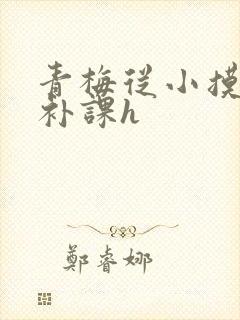 青梅从小摸到大补课h
