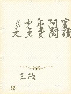 《少年阿宾》全文免费阅读