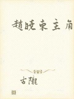 赵晓东主角小说