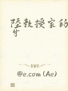 陆教授家的小月牙