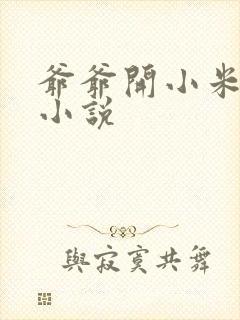 爷爷开小米的包小说