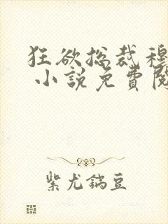 狂欲总裁穆非雪 小说免费阅读