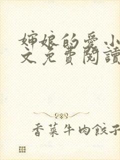 婶娘的爱小说全文免费阅读