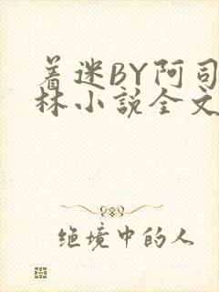 着迷BY阿司匹林小说全文免费阅读