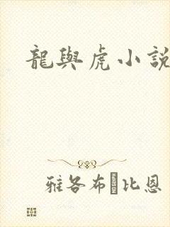 龙与虎小说