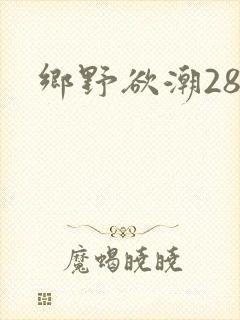 乡野欲潮28章