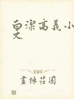 白洁高义小说全文