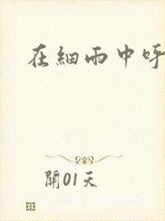 在细雨中呼喊