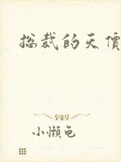 总裁的天价宠妻