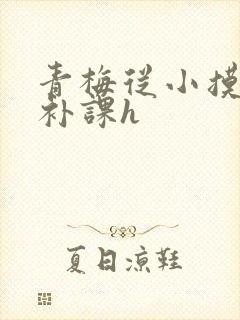 青梅从小摸到大补课h
