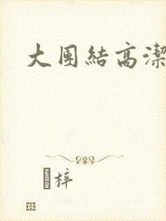 大团结高洁