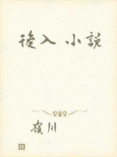 后入 小说