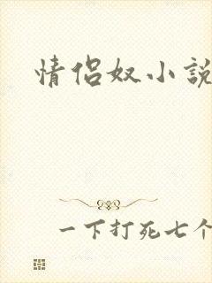 情侣奴小说封面