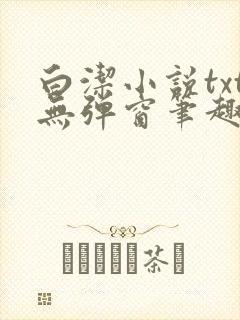 白洁小说txt无弹窗笔趣阁