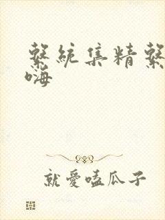 系统集精系统高嗨