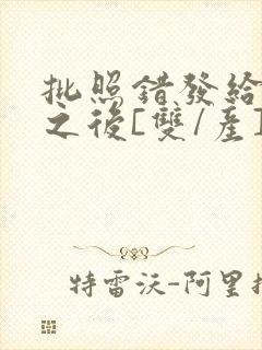 批照错发给情敌之后[双/产]