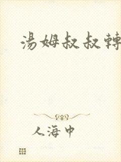 汤姆叔叔转接口