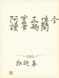 阿宾正传全文阅读笔趣阁