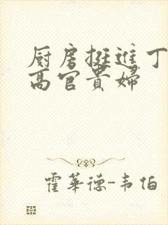 厨房挺进丁字裤高官贵妇