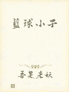篮球小子